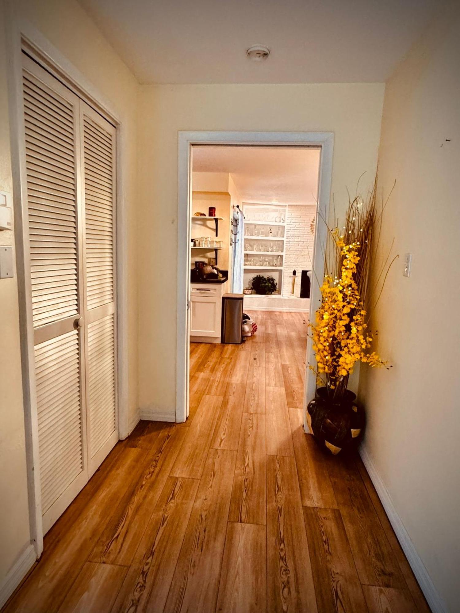 4 Bedroom Clearwater Vacation Home With Amazing Backyard Bagian luar foto
